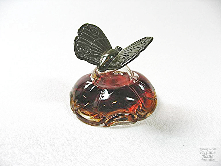 "Extracto Mariposa" by Julien Viard