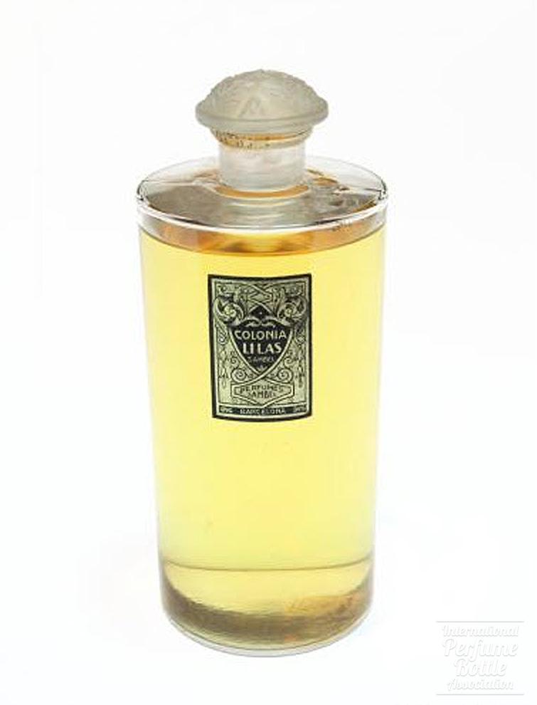 "Colonia Lilas" by Sambel