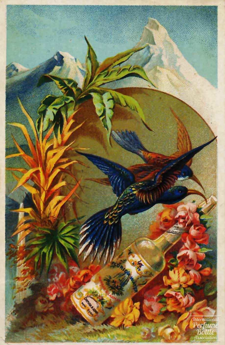 "Florida Water" Scent Card by Murray and Lanman