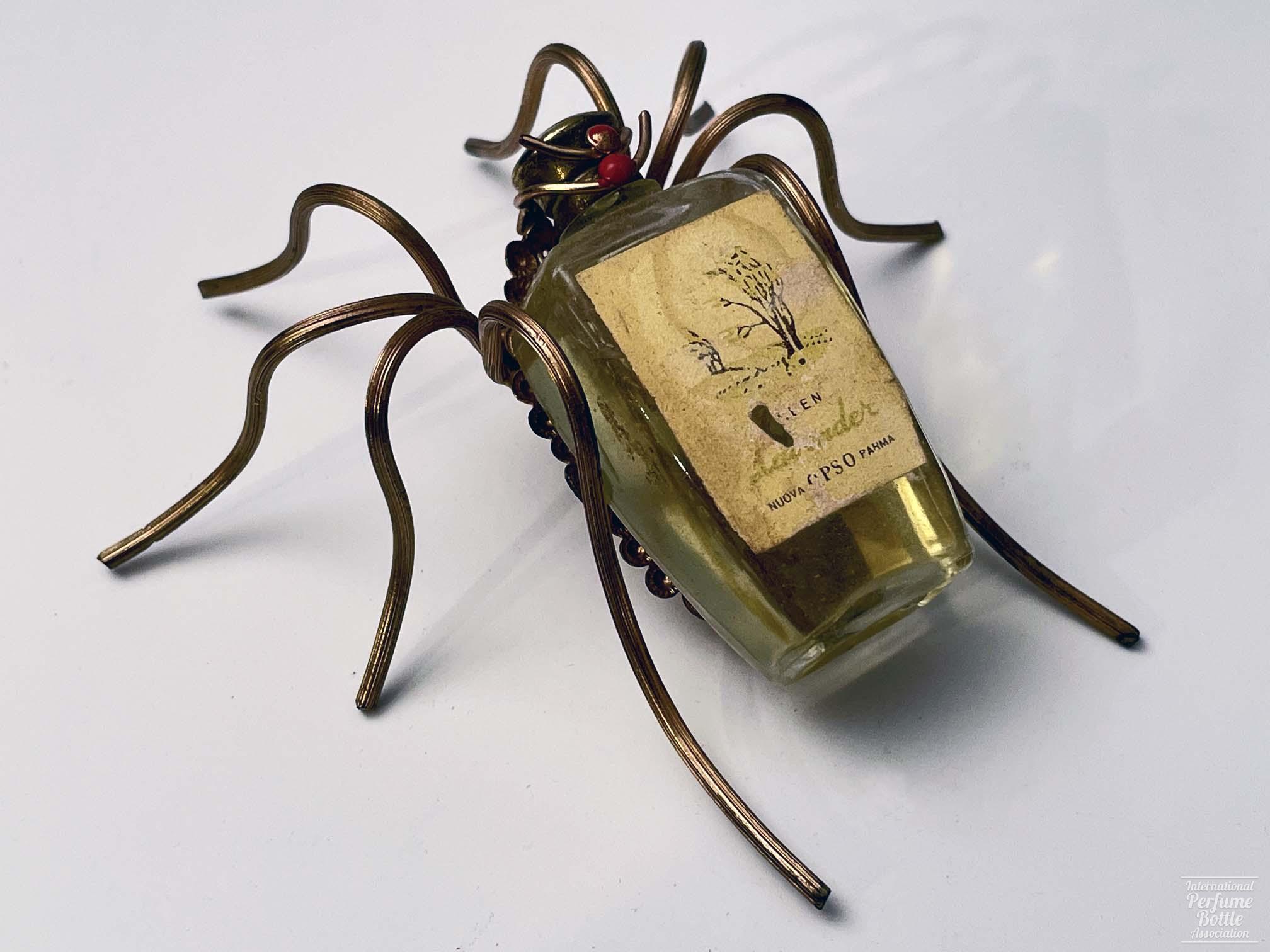 "Lavender" Spider Presentation by O.P.S.O.