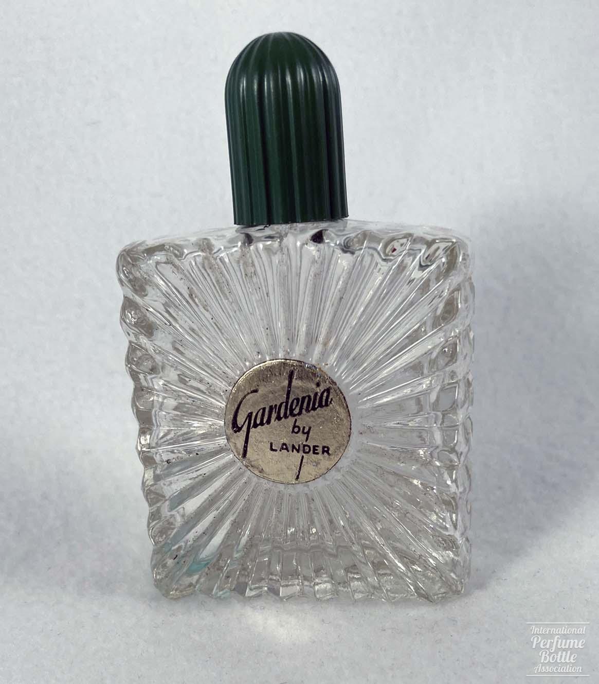 "Gardenia" by Lander