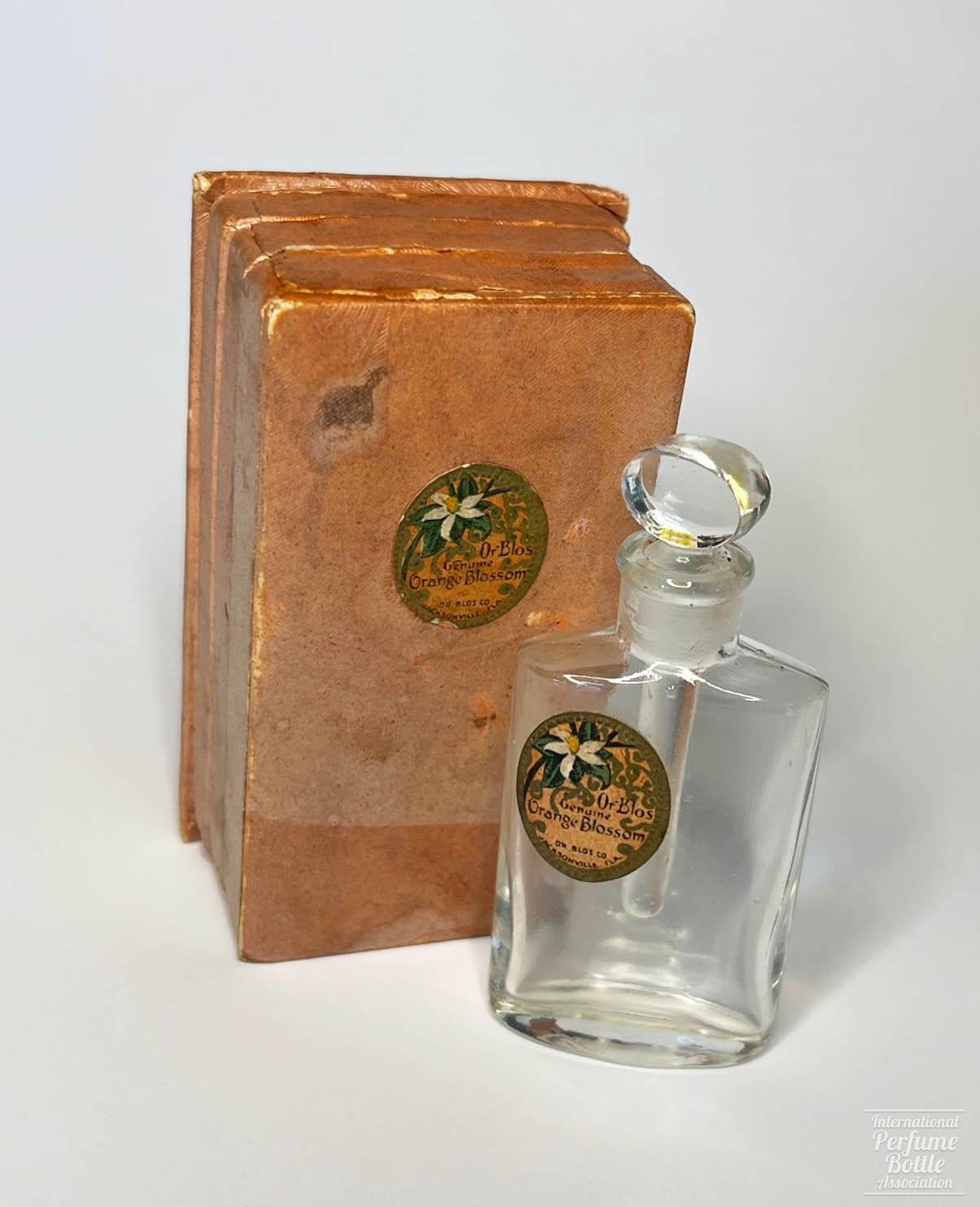 "Orange Blossom" by Or-Blos