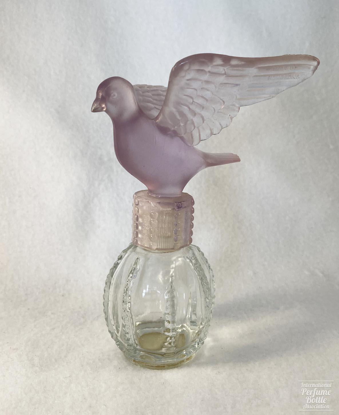 "Royal Dove" by Delager