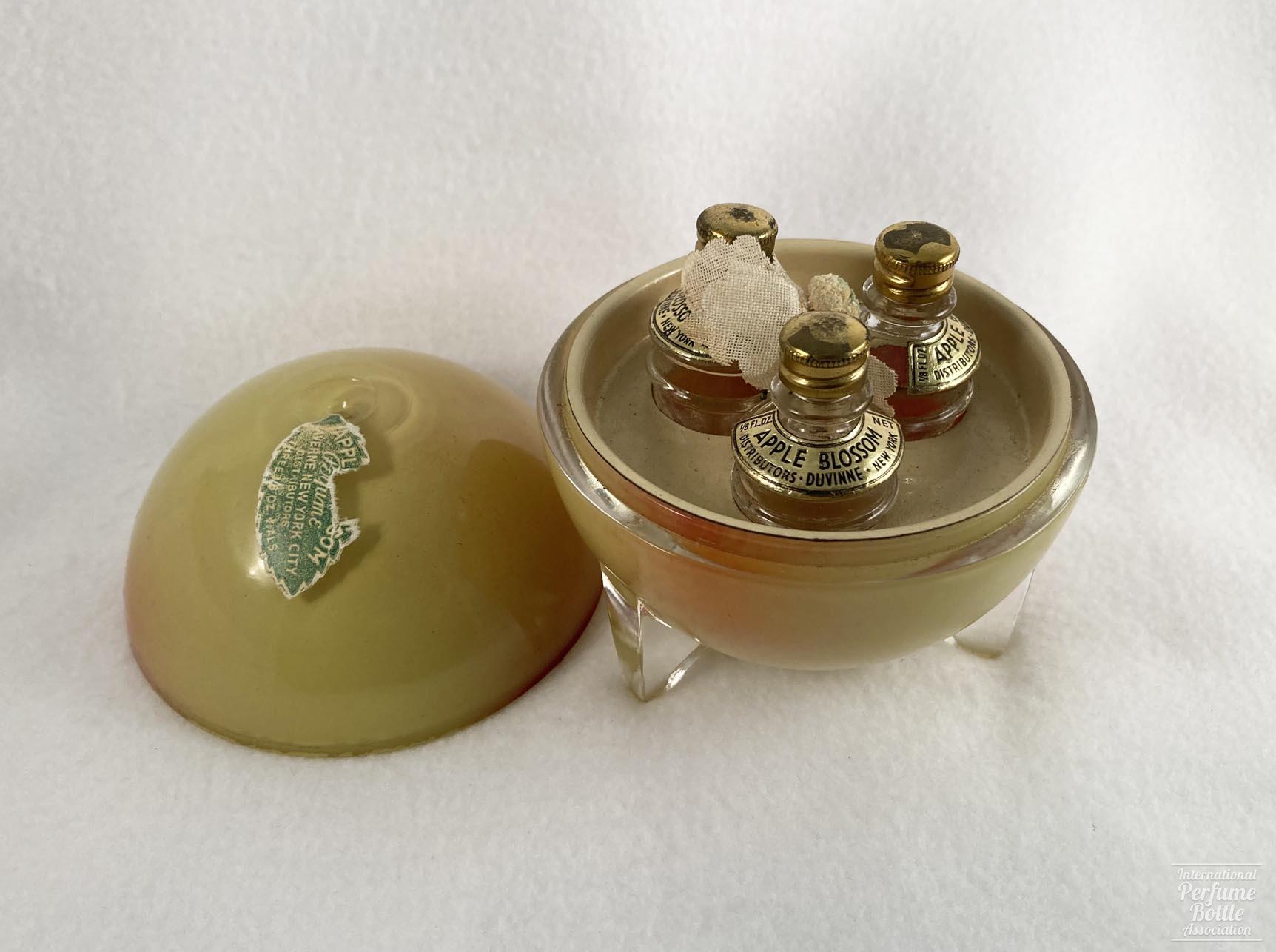 Apple Presentation by Duvinne