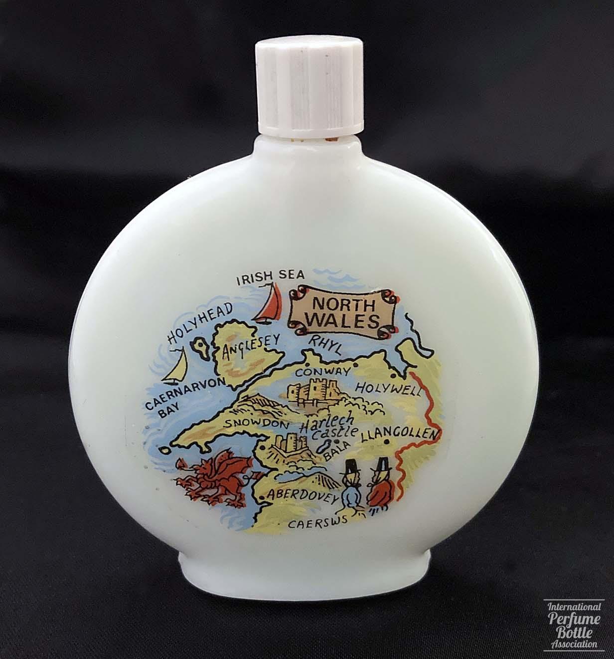 "Welsh Violets" by Aidees