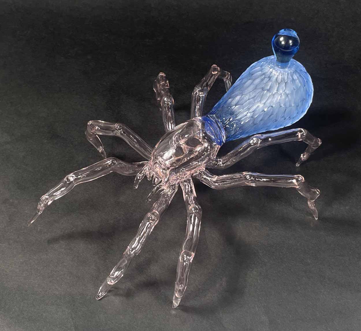 Wanja Sturhan: Spider First Place