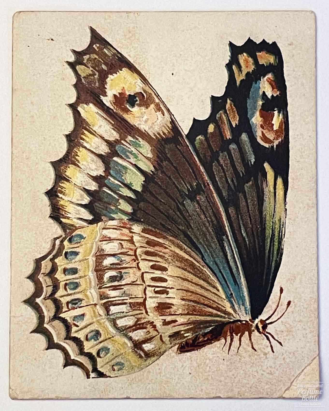 "Madame Butterfly" Trade Card by Alfred Wright