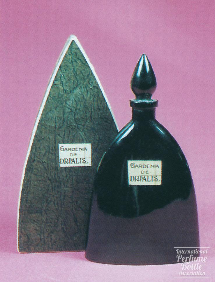 "Gardenia" by Drialis