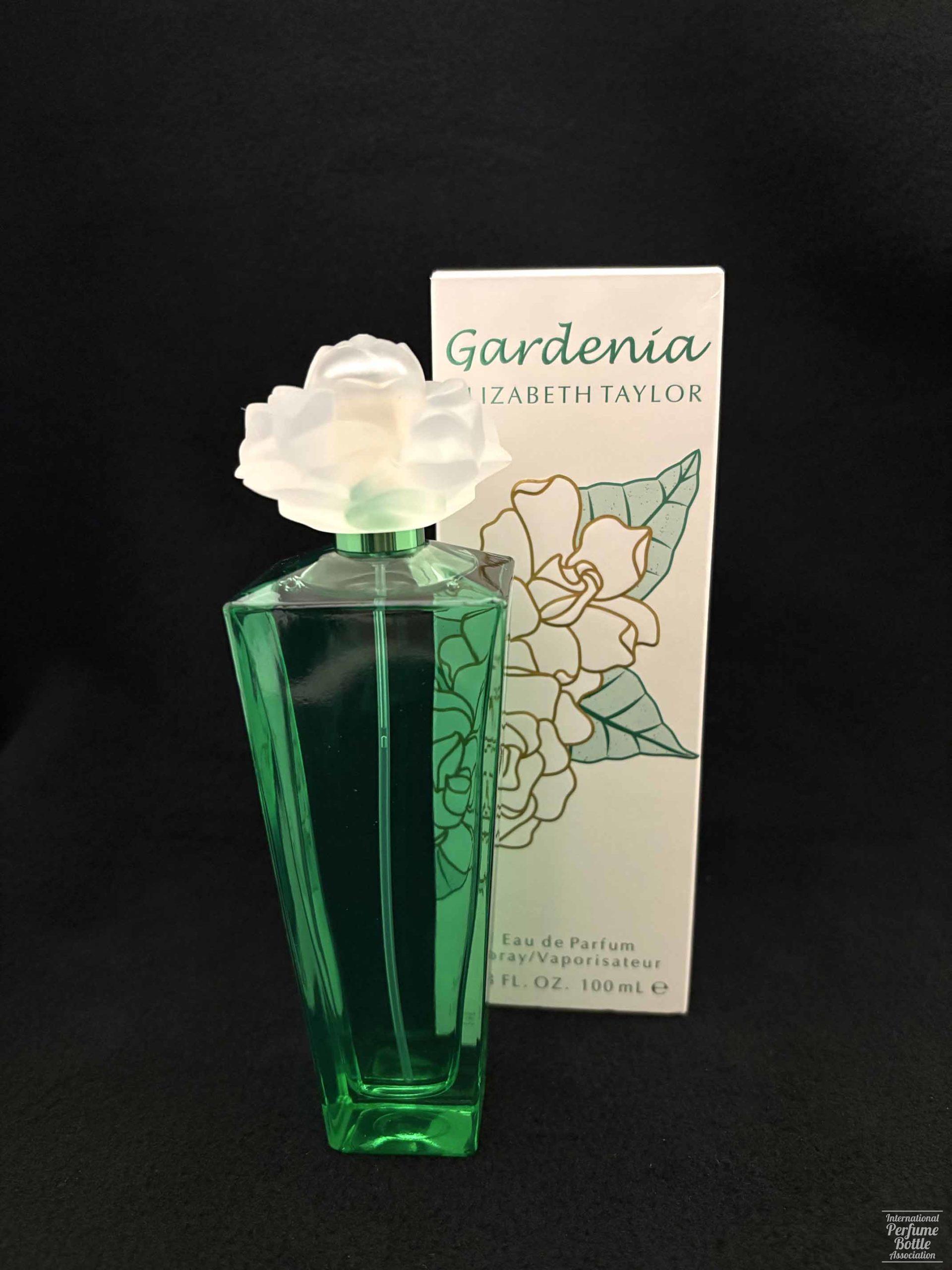 "Gardenia" by Elizabeth Taylor